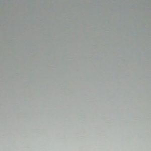 Meet your Posher, Jaybee